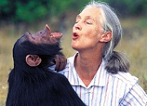 Jane Goodall, photo by Michael Neugebauer